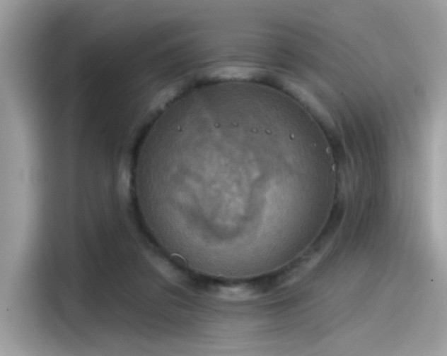 X0000115550309200911131610