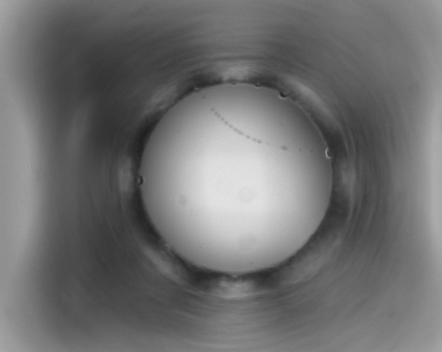 X0000115550311200911131610