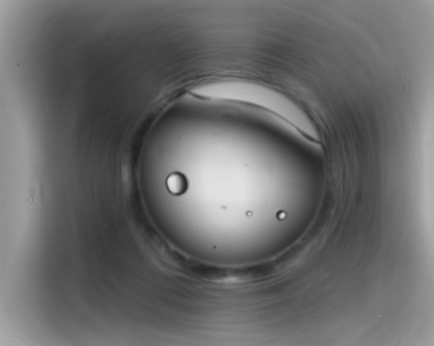 X0000115550312200911131610