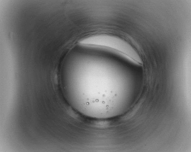 X0000115550313200911131610