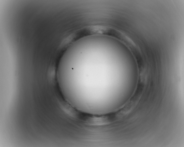 X0000115550314200911131610