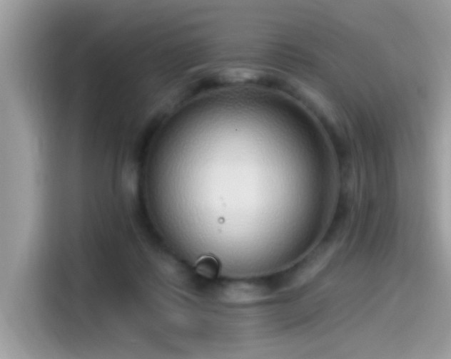 X0000115550315200911131610