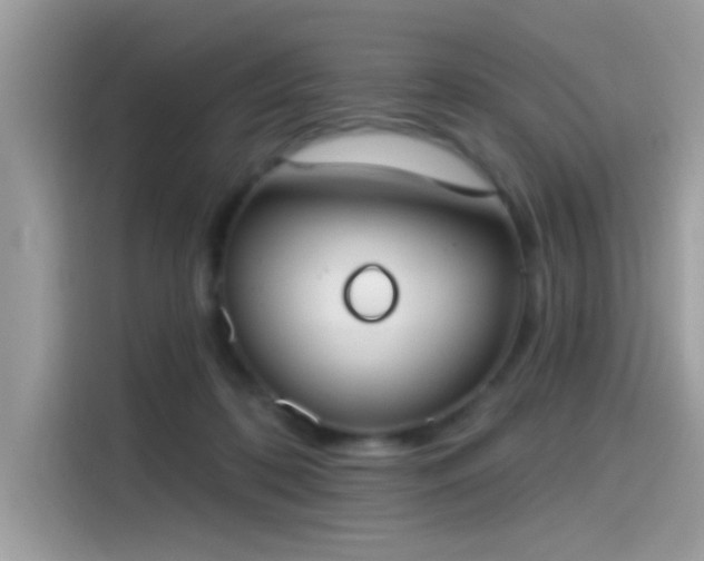 X0000115550316200911131610