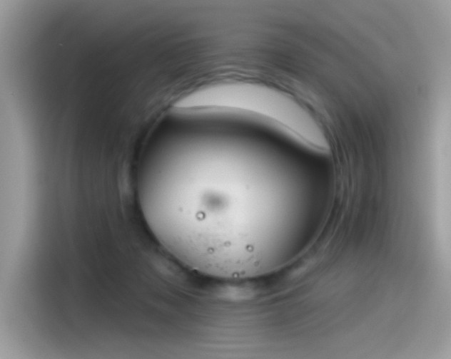 X0000115550317200911131610