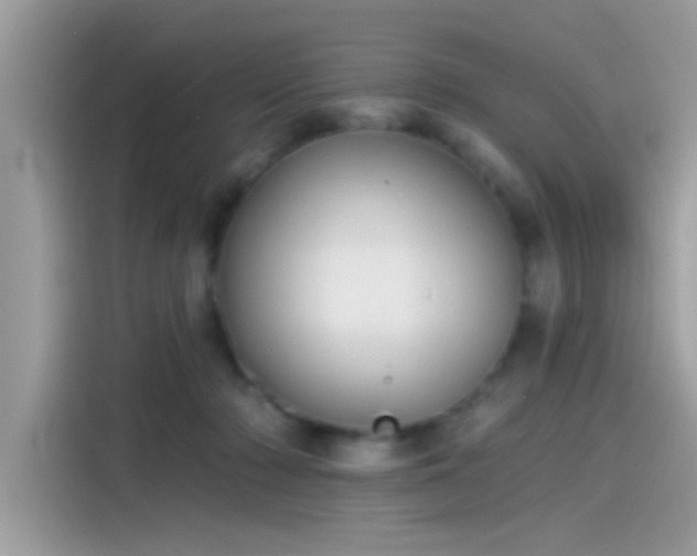 X0000115550318200911131610