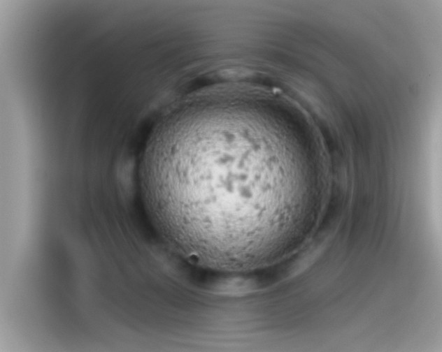 X0000115550319200911131610