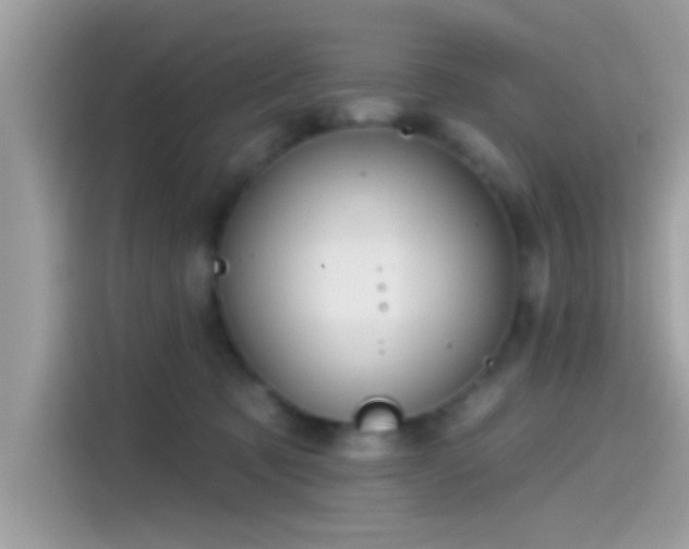 X0000115550321200911131610