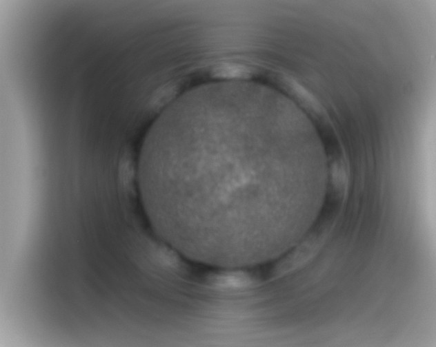 X0000115550322200911131610