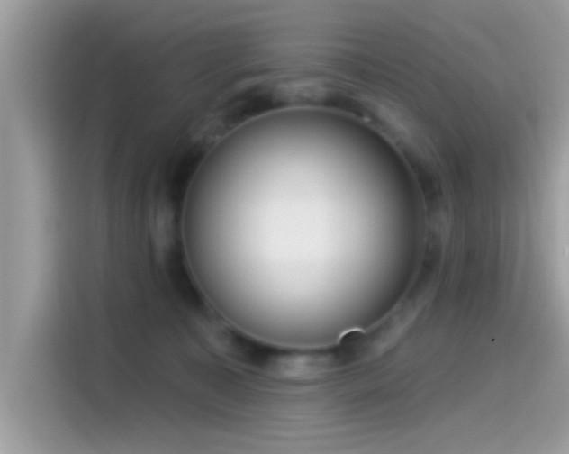 X0000115550323200911131610