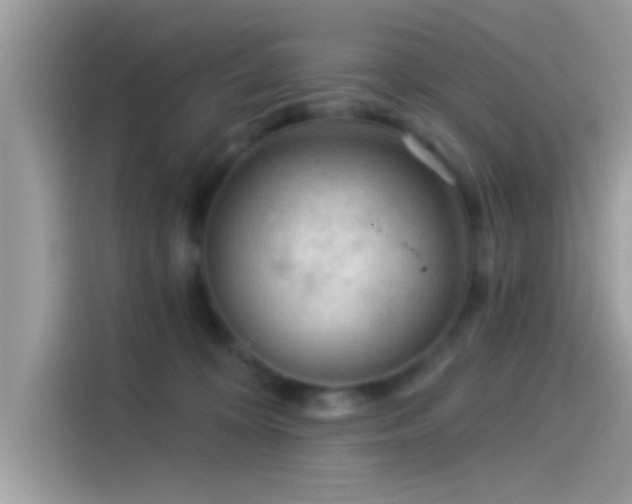 X0000115550324200911131610