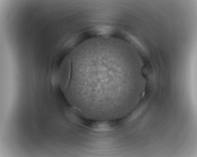 X0000115550325200911131610