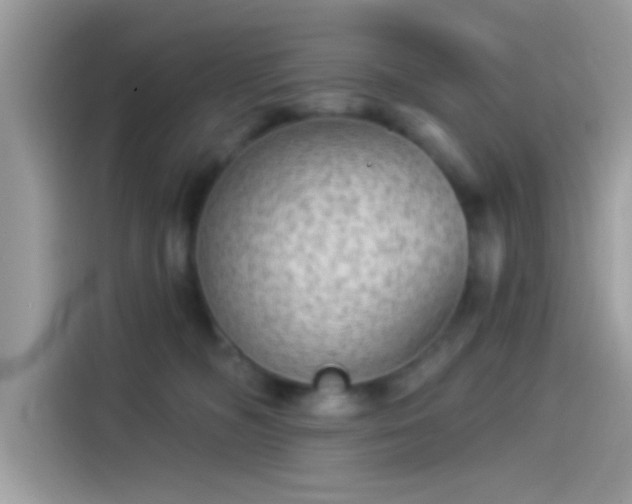 X0000115550326200911131610