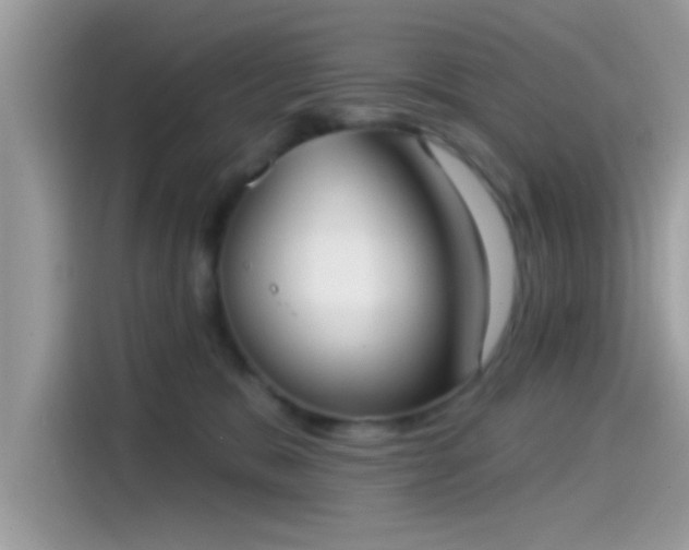 X0000115550327200911131610