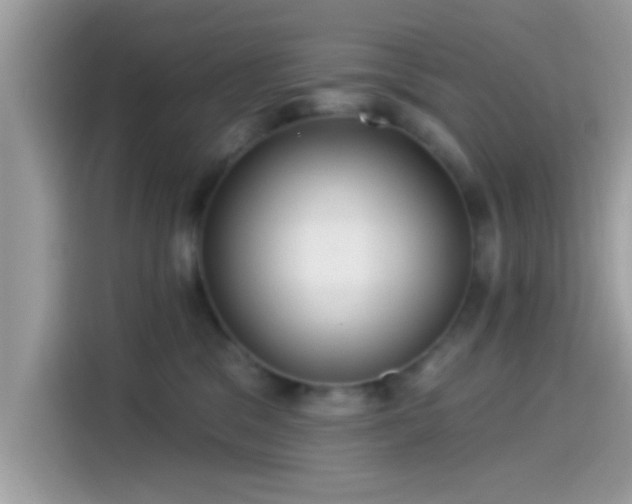 X0000115550329200911131610