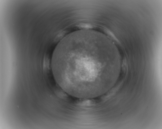 X0000115550330200911131610