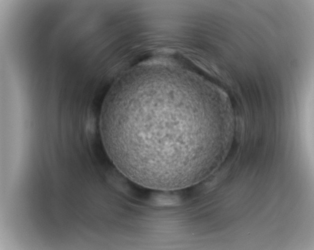 X0000115550331200911131610