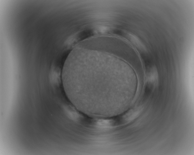 X0000115550332200911131610