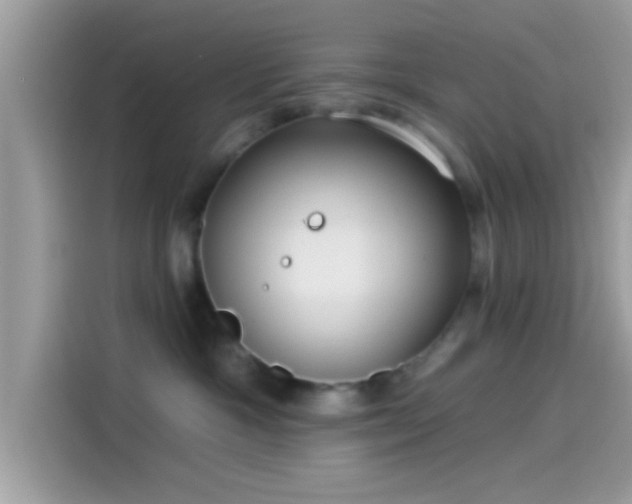 X0000115550333200911131610