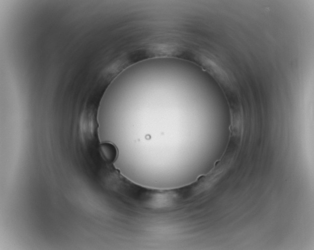 X0000115550334200911131610