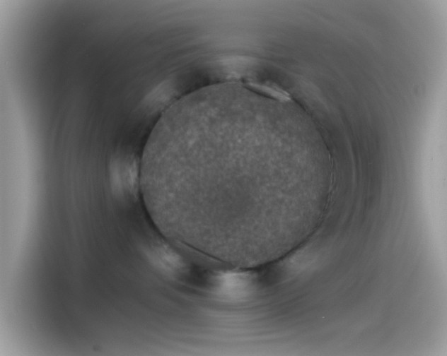 X0000115550336200911131610