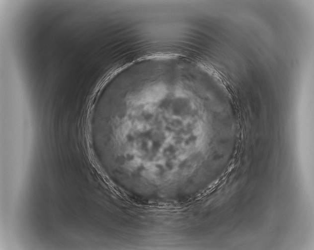 X0000115550337200911131609