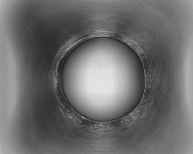 X0000115550338200911131609