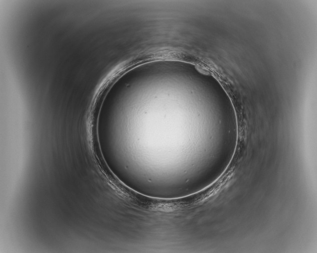 X0000115550341200911131609