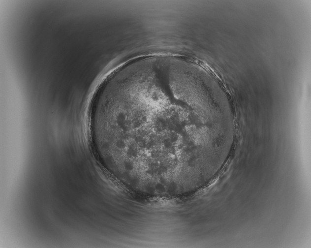 X0000115550343200911131609