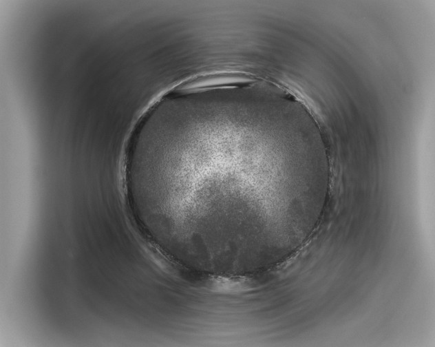 X0000115550346200911131610