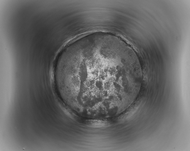 X0000115550347200911131610