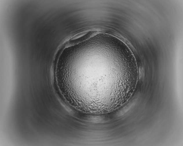 X0000115550349200911131610