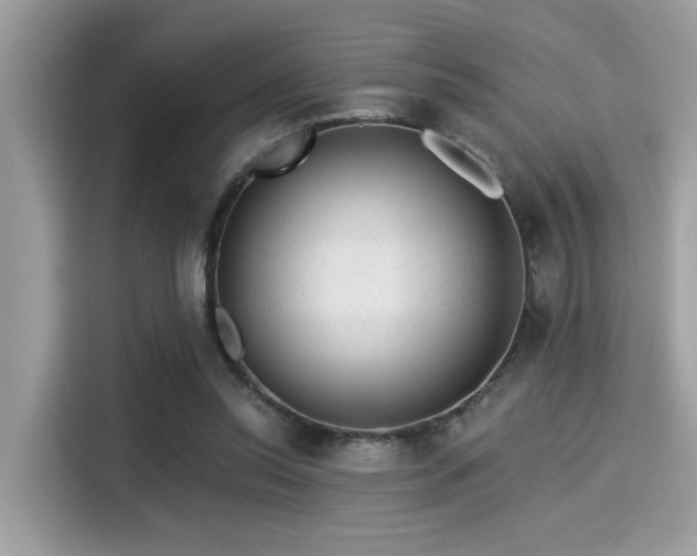 X0000115550350200911131610