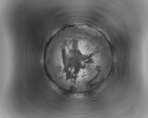 X0000115550353200911131610