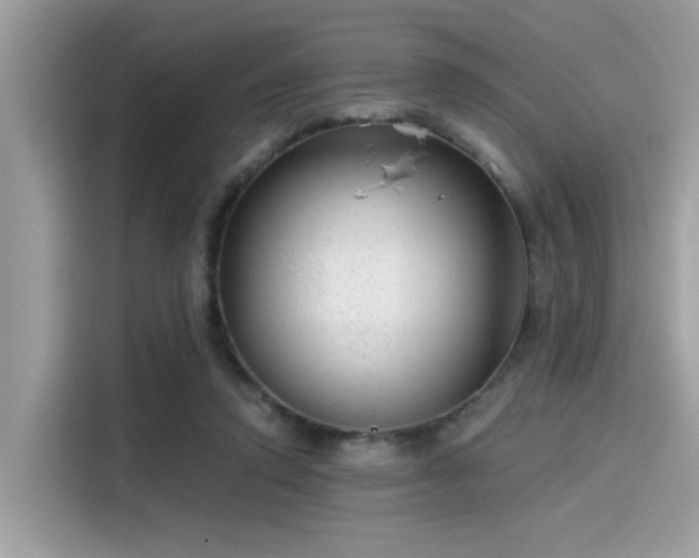 X0000115550354200911131610