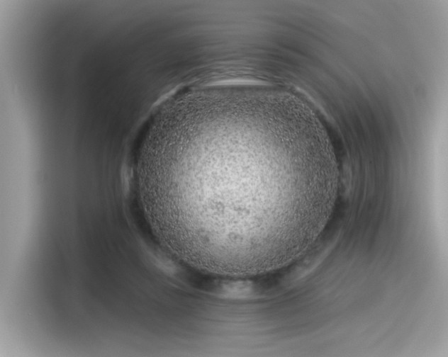 X0000115550355200911131610