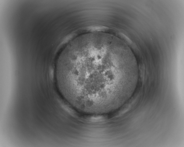 X0000115550357200911131610