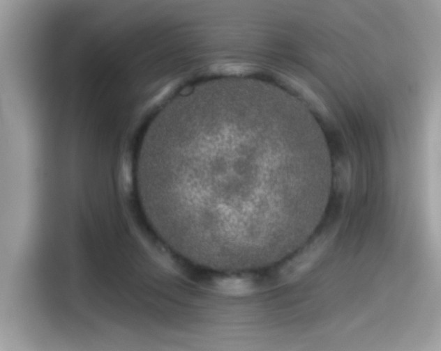 X0000115550358200911131610