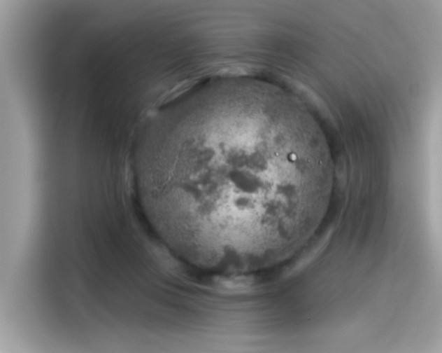 X0000115550359200911131610