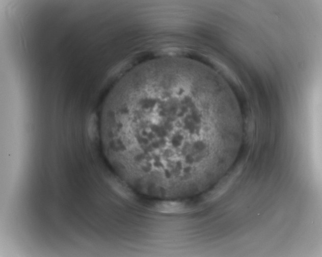 X0000115550361200911131610