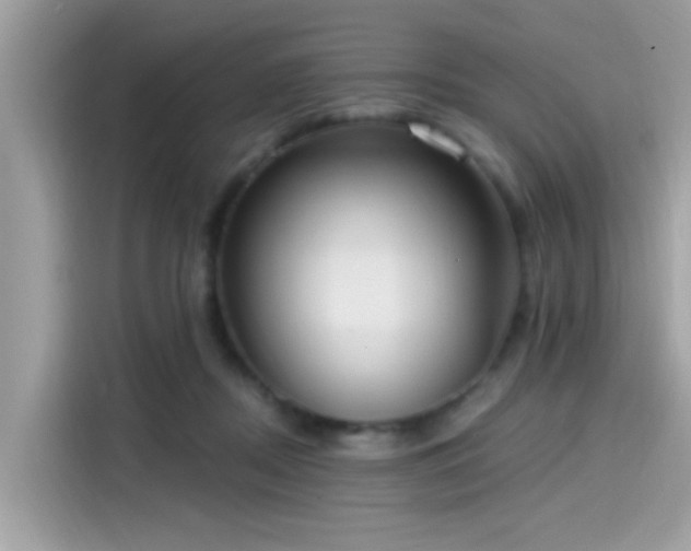 X0000115550362200911131610