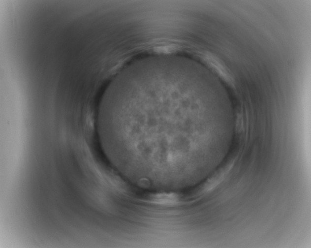 X0000115550363200911131610