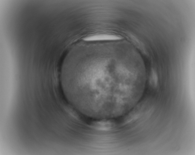 X0000115550366200911131610