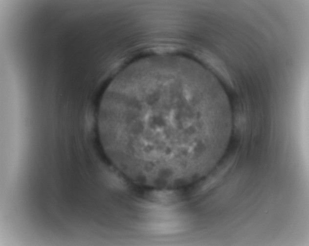 X0000115550367200911131610