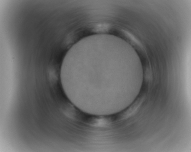 X0000115550370200911131610