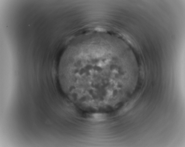 X0000115550371200911131610