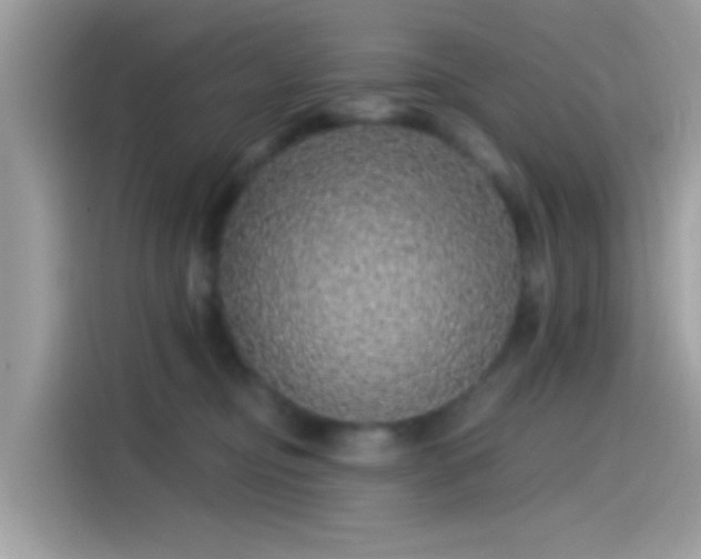 X0000115550374200911131610