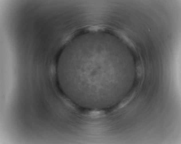 X0000115550375200911131610