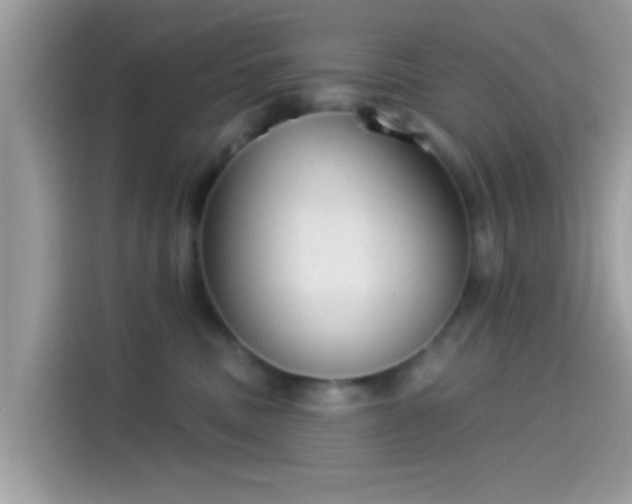 X0000115550379200911131610