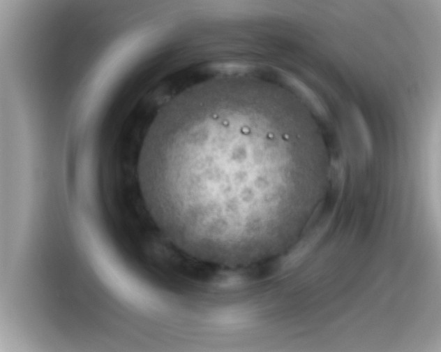 X0000115550381200911131610