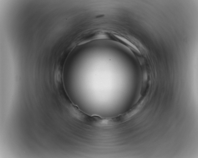 X0000115550382200911131610